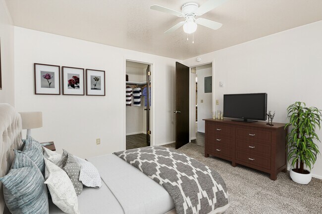Bright Large Bedrooms