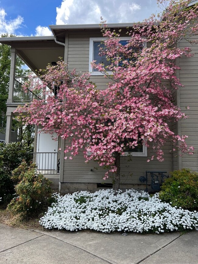 Building Photo - 3163 Juniper Ridge Dr Unit 11