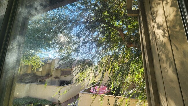 Photo - 2116 Mt Vernon Dr