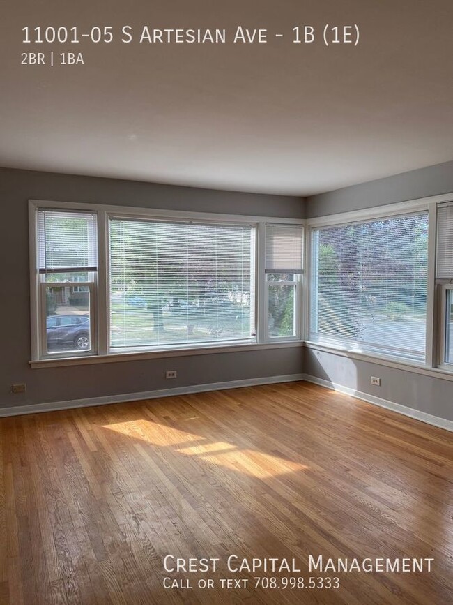 11001 S. Artesian - 1A, Chicago, IL, 60655 - 11001 S. Artesian - 1A, Chicago, IL, 60655 Apartment Unit 1B (1E)