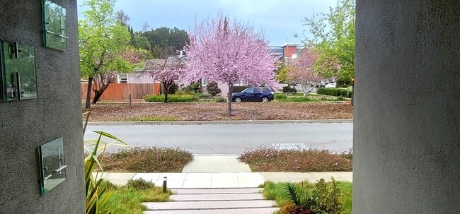 Photo - 50 Hayward Ave