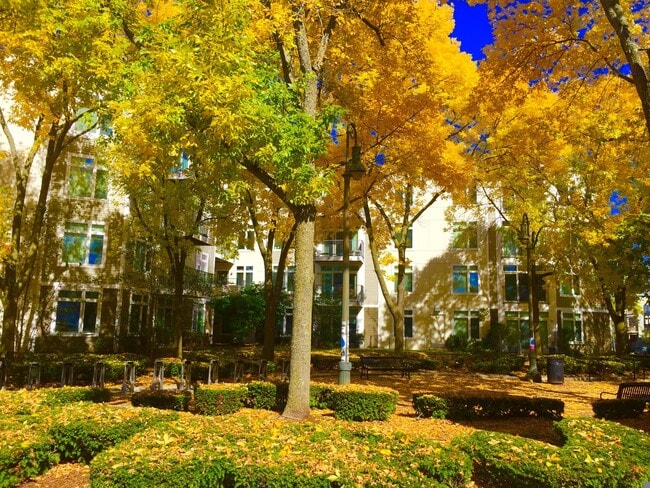 Photo - 7 Cameron St Unidad 109H