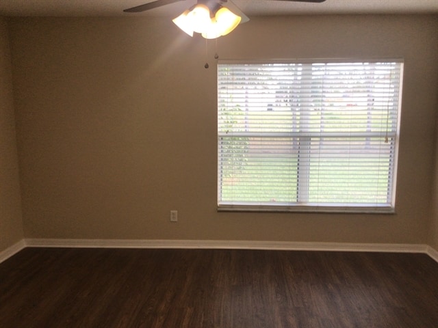 Photo - 13210 Moonflower Ct