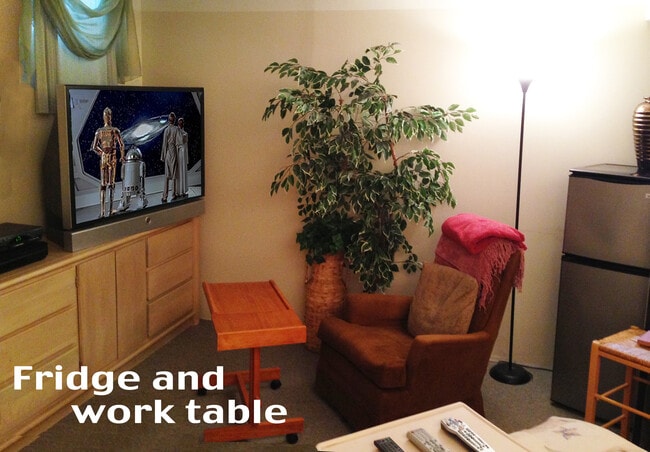 90 Windsor Dr Unit Furn Lux BR