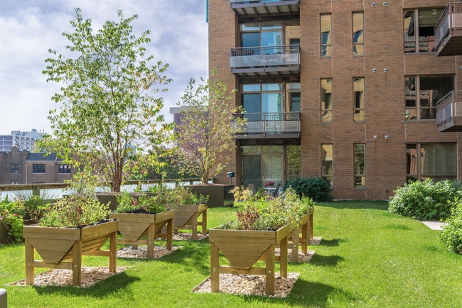Photo - LightHorse 4041