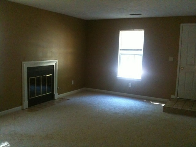 Photo - 101 Autumn Leaf