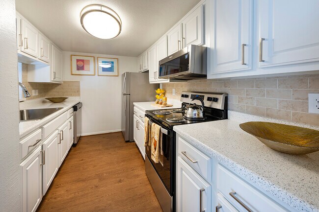 Newly Renovated Kitchen with Stainless Steel Appliances