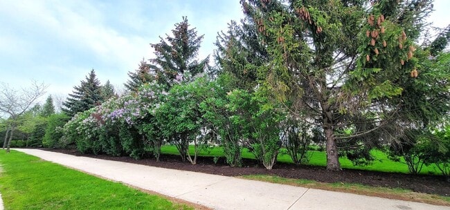 Photo - 10520 Wakefield Ln