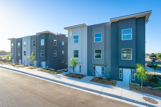 Building Photo - Modern Coastal Living at The Palms Unit 11 Rental