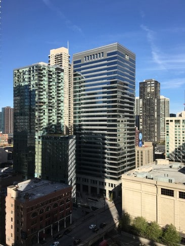 Building Photo - 405 N Wabash Ave Unit 1603