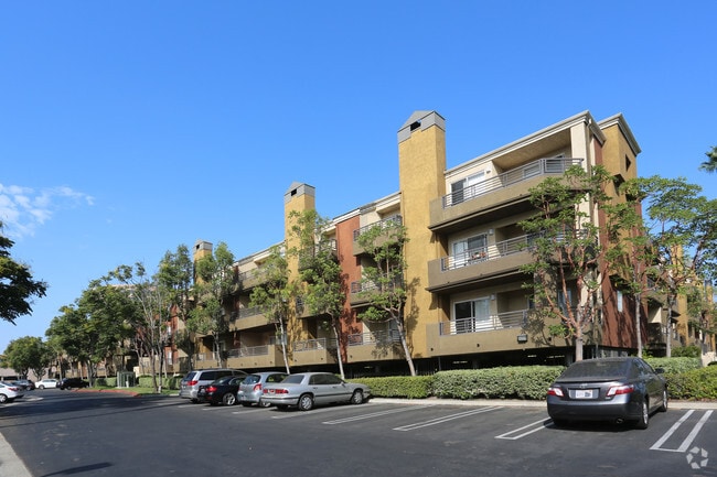 Sofi Irvine - Sofi Irvine