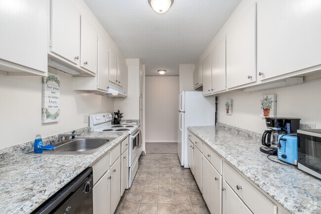2BR, 1BA - 1,300SF - Kitchen