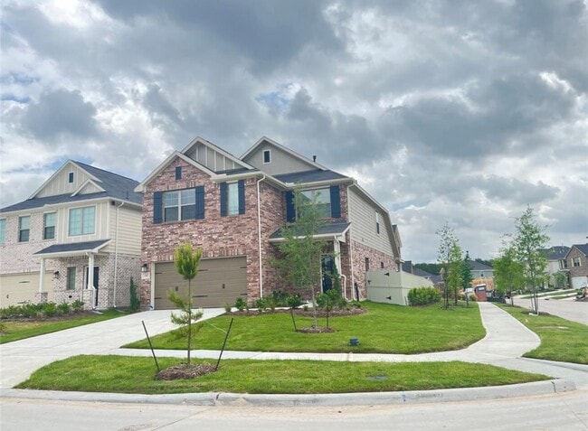 Photo - 17697 Tree of Heaven