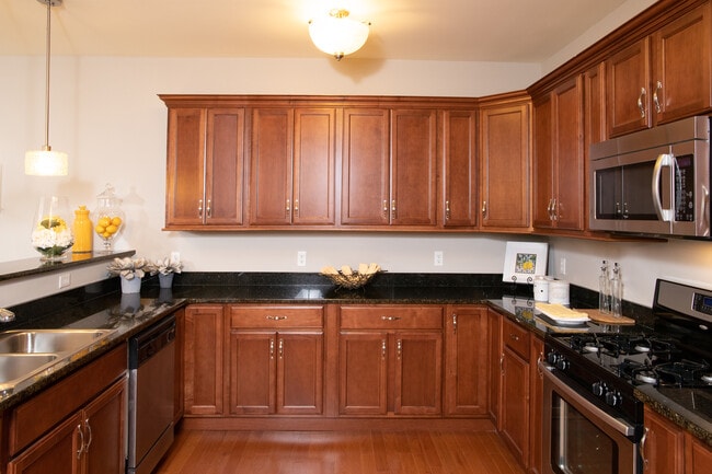 Photo - Vineyard Commons