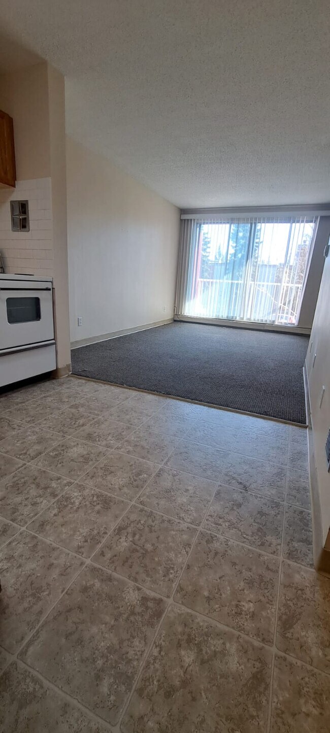Photo - 13516-102 102 St NW Unit 207