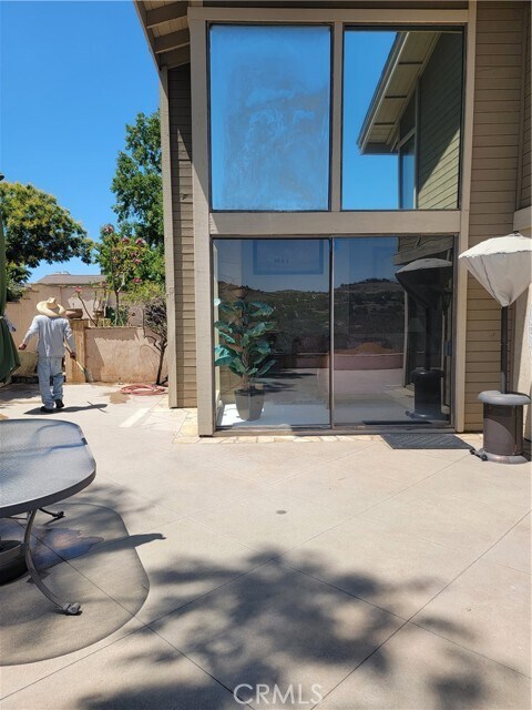 Photo - 5 Morning Glory