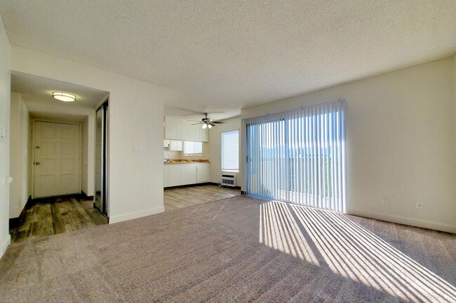 Photo - La Mesa Spring Gardens