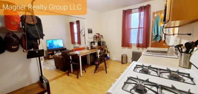 1 bedroom in BROOKLYN NY 11209 - 1 bedroom in BROOKLYN NY 11209 Unidad 2R Rental