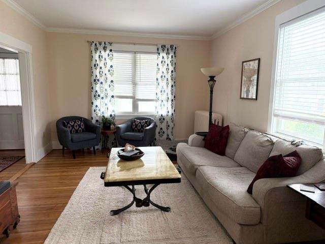 Photo - 24 Freeborn St