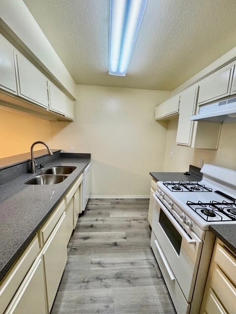 Photo - Palm Terrace