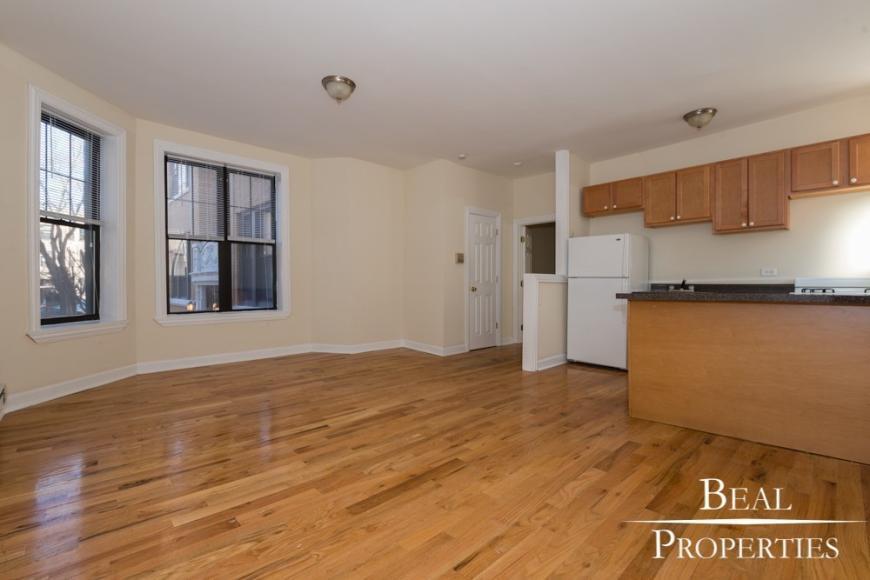 1 bedroom in CHICAGO IL 60657 - 1 bedroom in CHICAGO IL 60657 Condo Unit B1