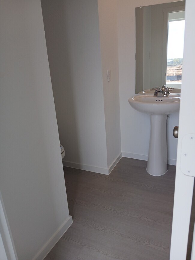 Photo - 8452 Violet Sapphire