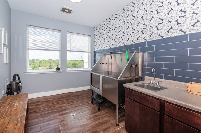 Pet Wash Station