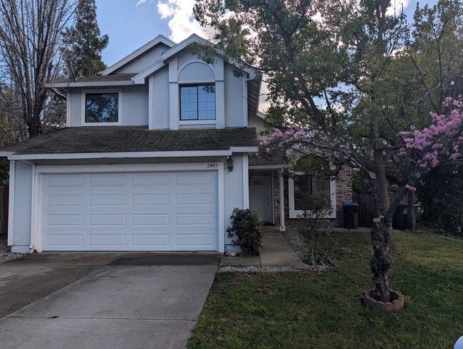 2403 Tea Ct