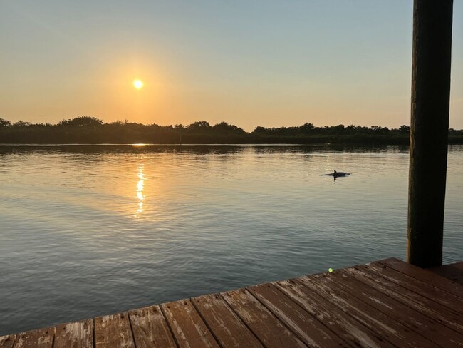 Building Photo - Sunrises with the Dolphins! Large Spacious... Rental