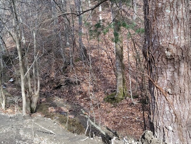 Photo - 362 Ester Spur Rd