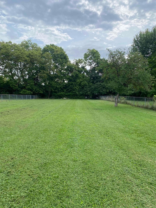 Photo - 26 Lawson Ave