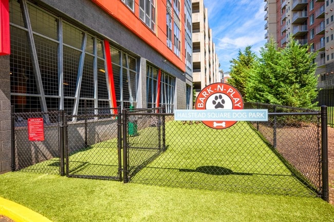 Dog Park