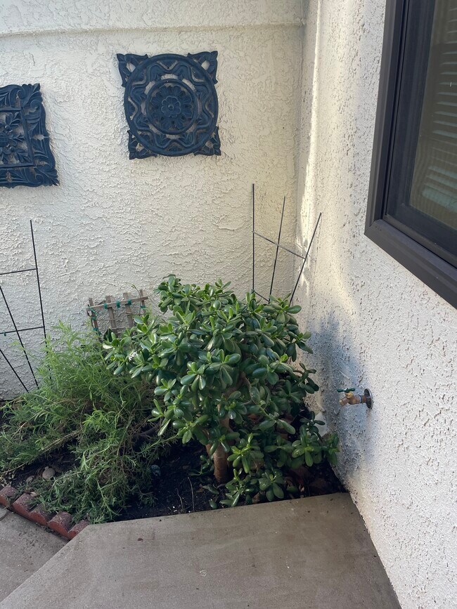 Photo - 1321 Calle Lozano