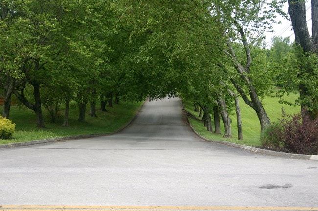 Photo - The Summit Apartments