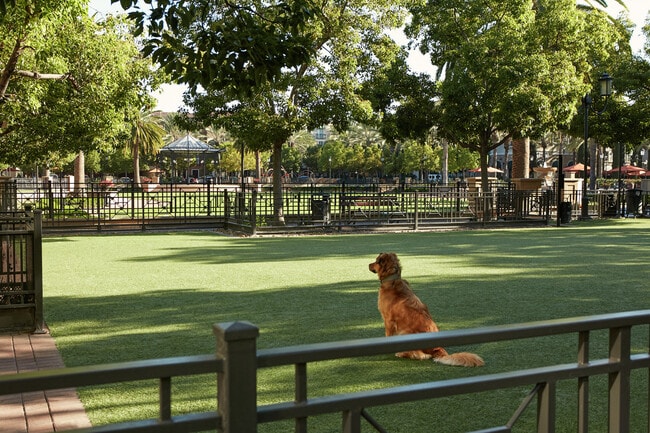 The Park at Irvine Spectrum