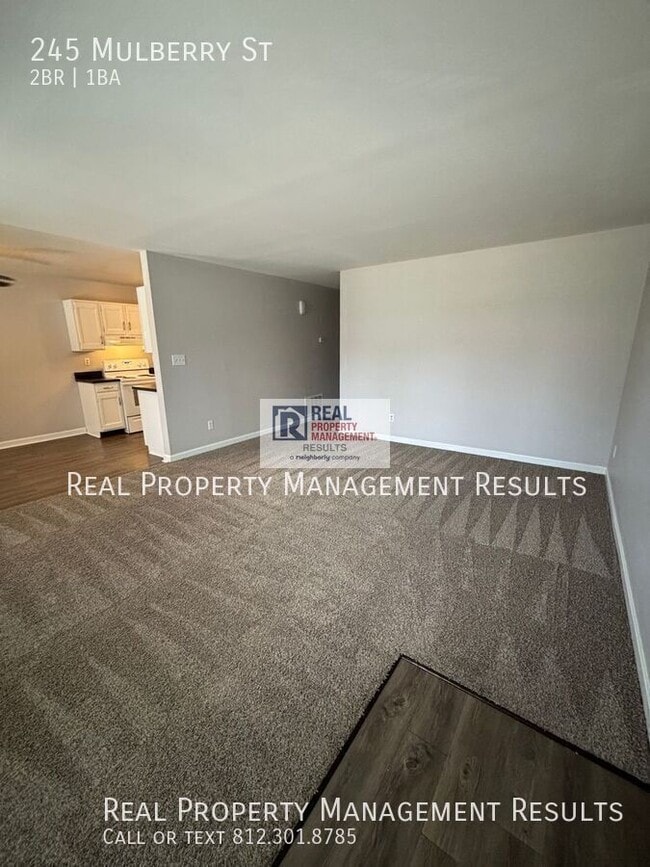 Photo - 245 Mulberry St