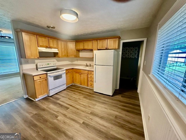 Photo - 10178 Top Tree Ct