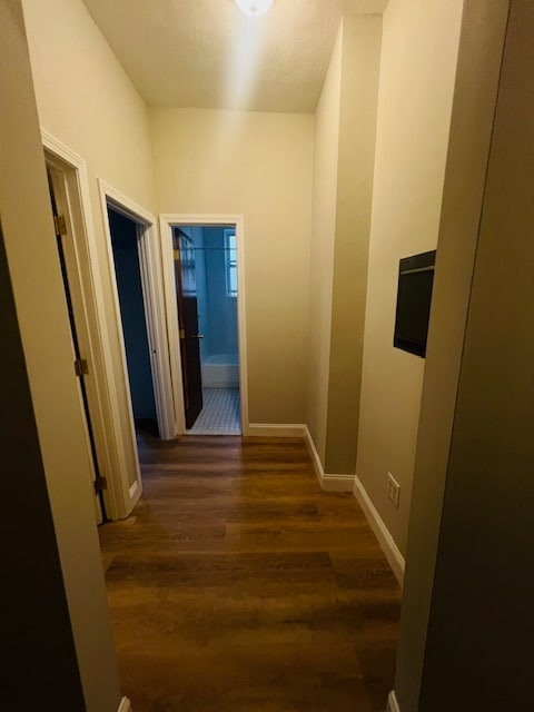 Photo - 111 Norway St Unit 104