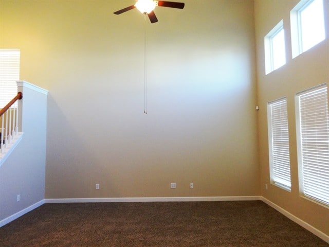 Photo - 1009 Turtle Dove Ln