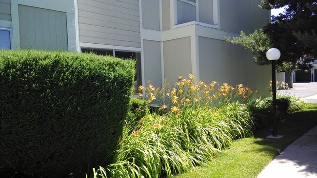 Building Photo - Springland Village Condo