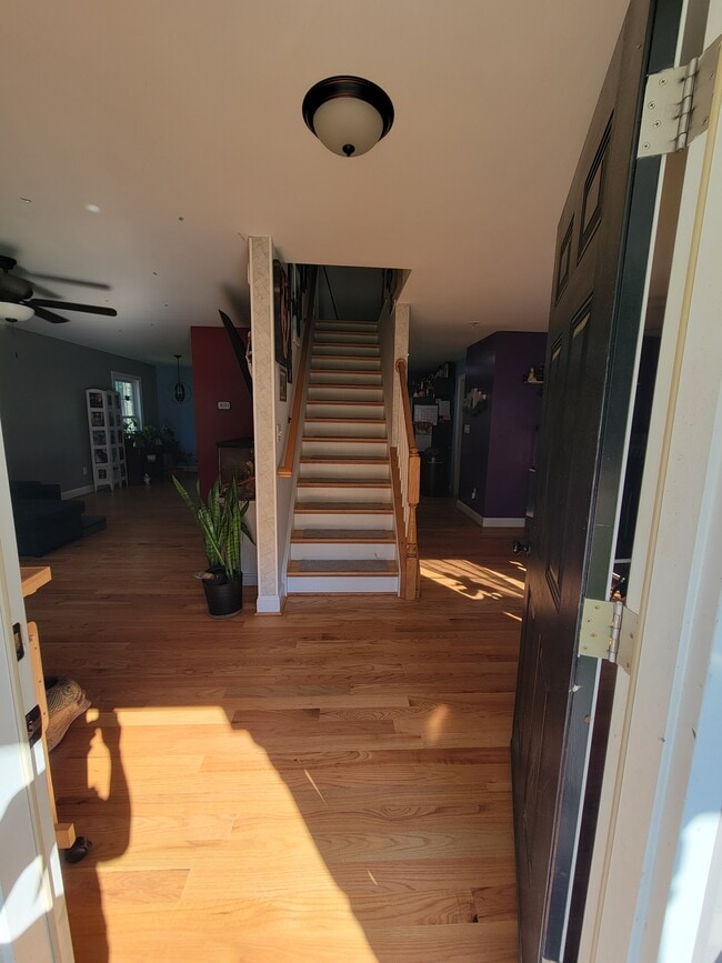 Photo - 145 Graywolf Trail