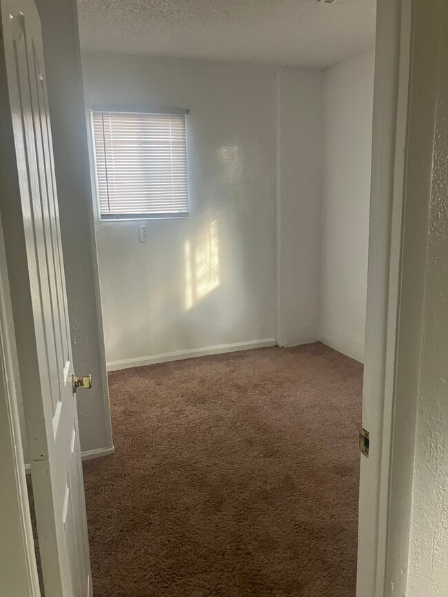 Photo - 4225 Hawg Wild Rd