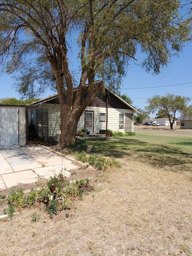 Photo - 203 W Crockett St