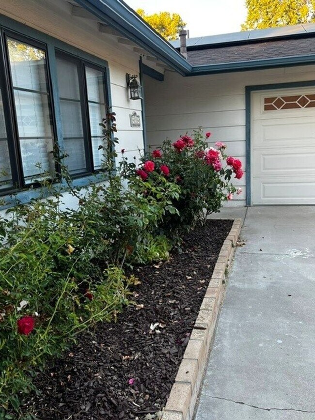 133 Shadow Mountain Dr