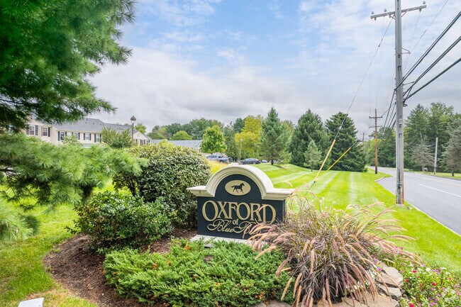 Photo - Oxford of Blue Bell