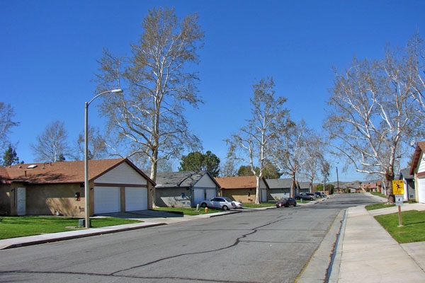 Hemet Meadows - Hemet Meadows Apartments