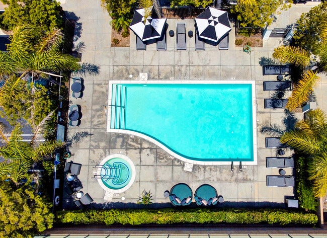Placita Luxe