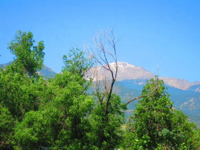 Photo - 1916 W Platte Ave