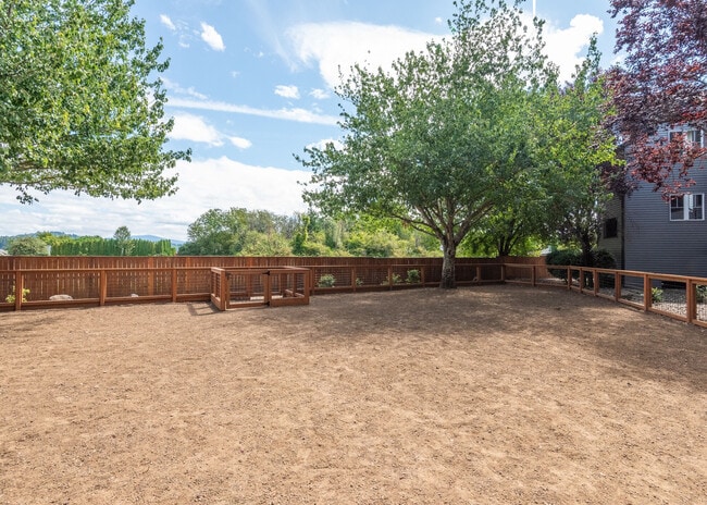 Photo - Mountain Meadows