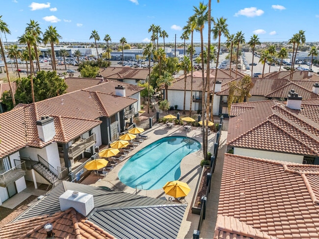 Fountain Palms
